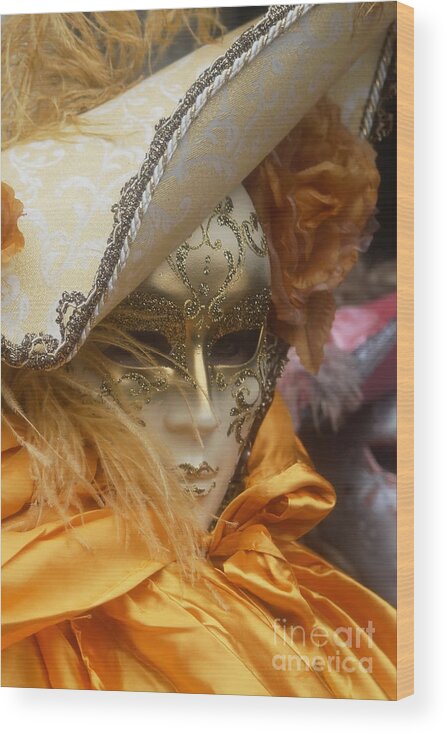 Europe Wood Print featuring the photograph Carnevale di Venezia 108 by Rudi Prott