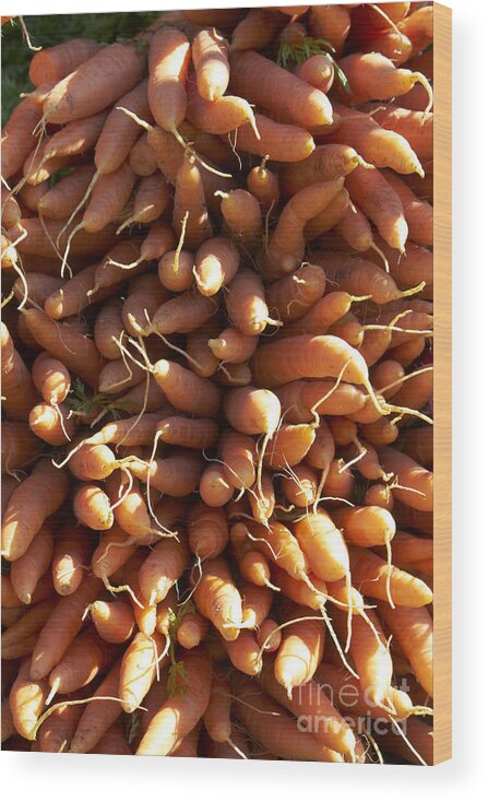 Carrots Wood Print featuring the photograph Carrots by Tony Cordoza