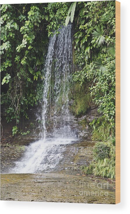 Waterfalls Wood Print featuring the photograph Cascada Pequena by Kathy McClure