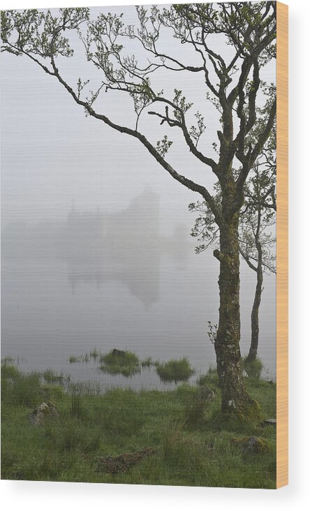 Mist Wood Print featuring the photograph Castle Kilchurn tree by Gary Eason