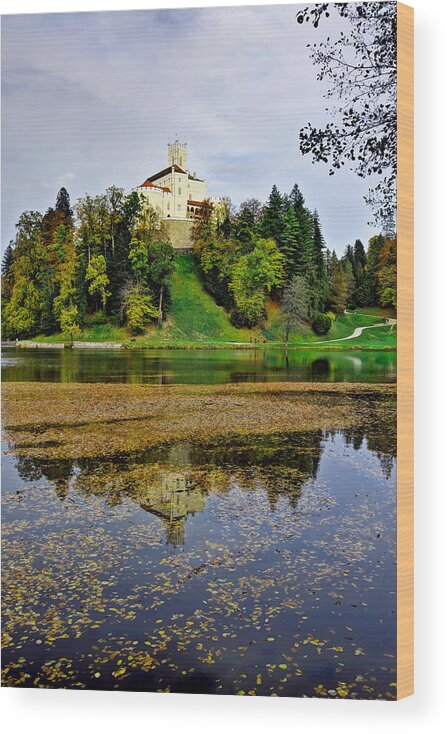 Castle Wood Print featuring the photograph Castle Trakoscan vertical by Ivan Slosar