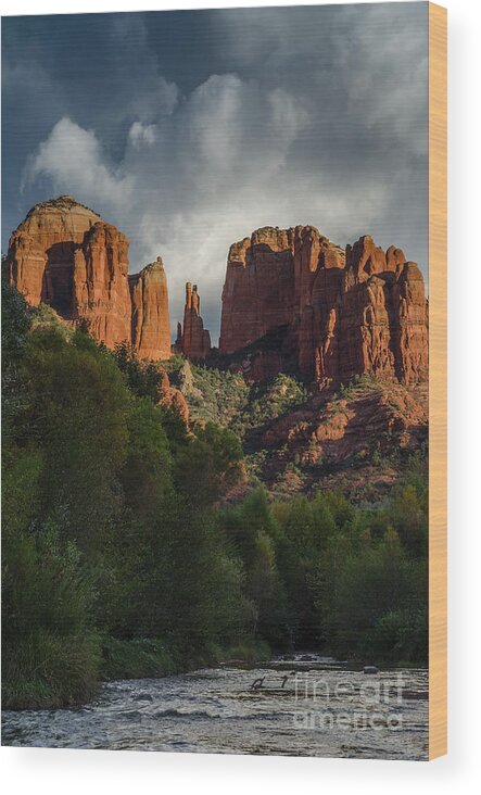 Cathedral Rock Wood Print featuring the photograph Cathedral Rock Sunset by Tamara Becker