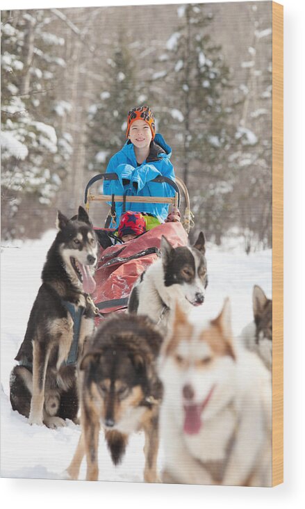 Recreational Pursuit Wood Print featuring the photograph Caucasian child sits in Siberian Husky-drawn sled by ImagineGolf