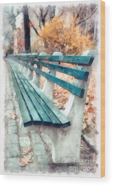 Central Park Wood Print featuring the photograph Central Park NYC by Edward Fielding