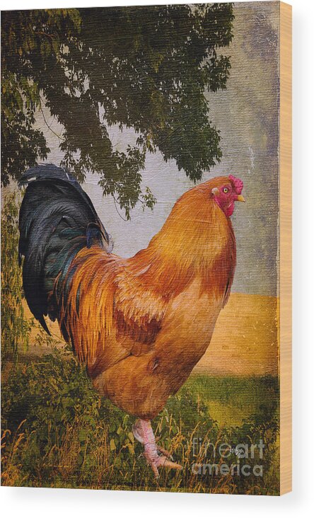 Chanticleer Wood Print featuring the photograph Chanticleer In Blue by Lois Bryan
