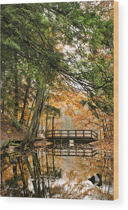 Autumn Wood Print featuring the photograph Chenango Valley State Park by Christina Rollo