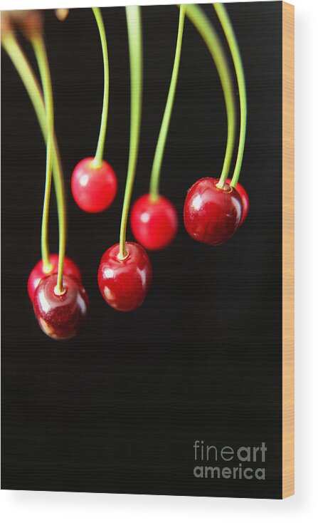 Cherry Wood Print featuring the photograph Cherry Fruits by Eden Baed