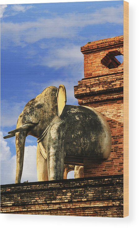 Elephant Wood Print featuring the photograph Chiang Mai Elephant by Rob Tullis