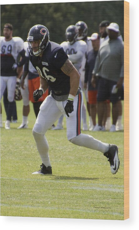 Chicago Bears Wood Print featuring the photograph Chicago Bears TE Zach Miller Training Camp 2014 02 by Thomas Woolworth