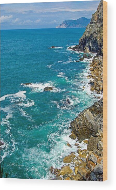 Ocean Wood Print featuring the photograph Cinque Terre 2 by Will Wagner
