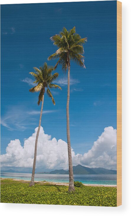 Coconut Wood Print featuring the photograph Coconut trees by Kim Pin Tan