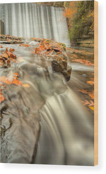 Fall Leaves Wood Print featuring the photograph Color of Autumn by John Magyar Photography