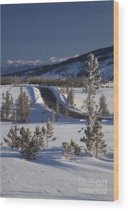 Snow Mountain Ranch Wood Print featuring the photograph Colorado Winter by Jim West