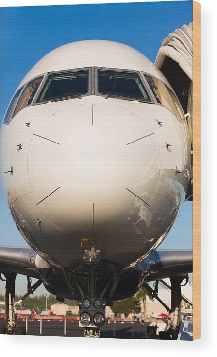 Aerospace Wood Print featuring the photograph Commercial Airliner by Raul Rodriguez