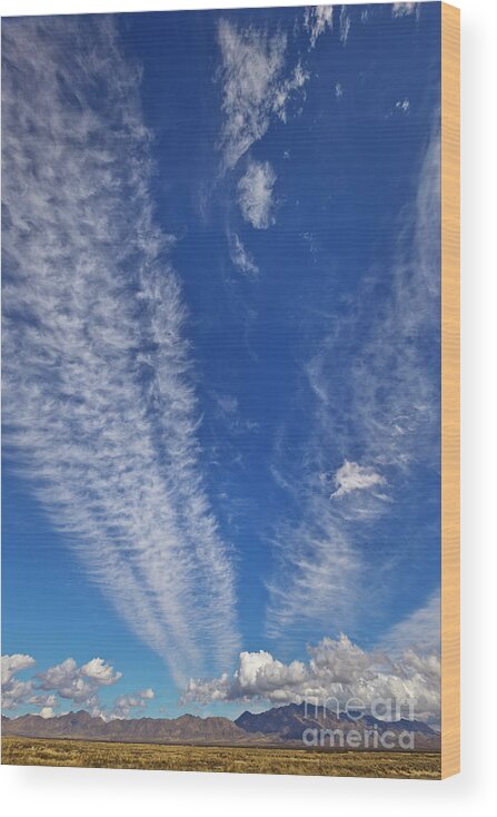 00559302 Wood Print featuring the photograph Contrails And Cumulus Cloud New Mexico by Yva Momatiuk John Eastcott