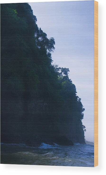 Costa Rica Wood Print featuring the photograph Costa Rica by Lindsey Weimer