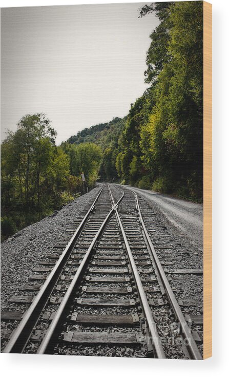Railroad Tracks Wood Print featuring the photograph Crossing Tracks by Tom Gari Gallery-Three-Photography
