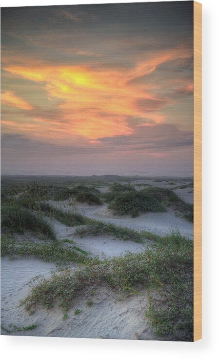 Crosssing Wood Print featuring the photograph Crosssing the Sand Dunes at Sunset on South Padre Island by Micah Goff