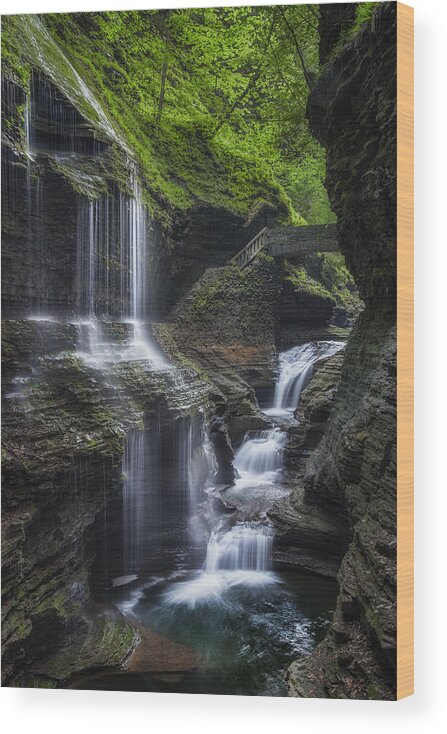 Watkins Glen Wood Print featuring the photograph Crown Jewel by Bill Wakeley