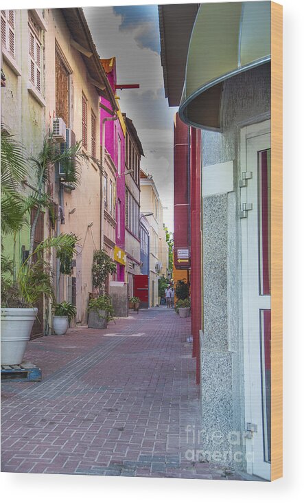Alley Wood Print featuring the photograph Curacao Alley by Louise Magno