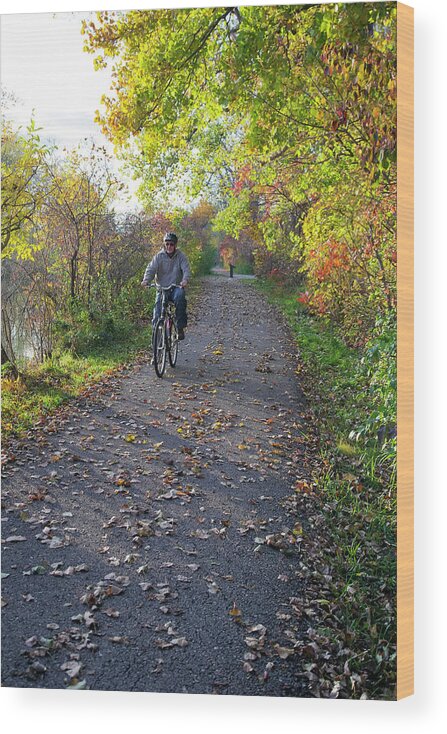 Human Wood Print featuring the photograph Cyclist In Parkland In Autumn by Jim West