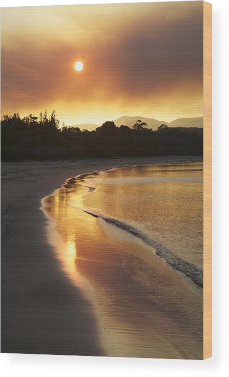 Australia Wood Print featuring the photograph Dare To Shine by Lee Stickels