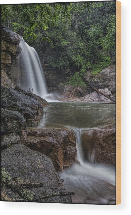 Waterfall Wood Print featuring the photograph Davis Falls by Erika Fawcett