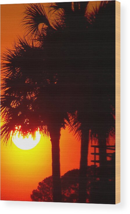 Sunset Wood Print featuring the photograph Day's End by Jean Wright