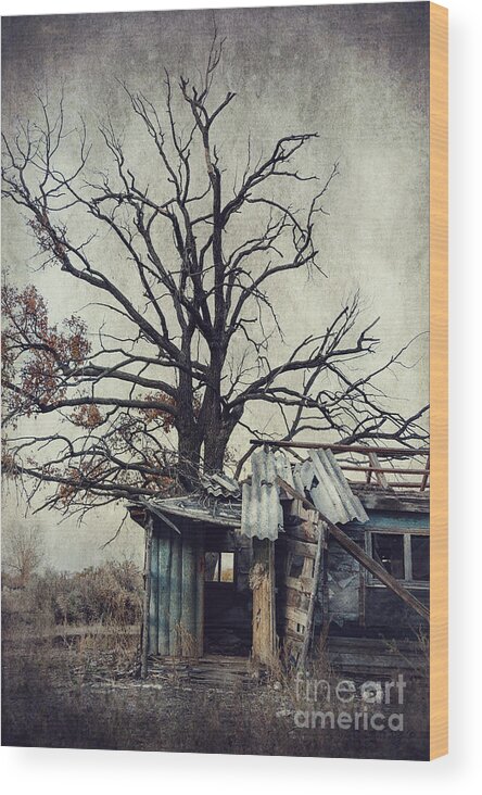 Abandoned Wood Print featuring the photograph Decay Barn by Svetlana Sewell