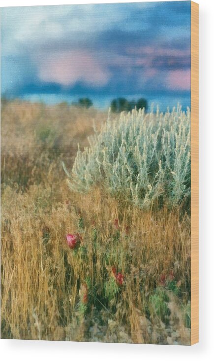 Desert Wood Print featuring the photograph Desert Flowers by Michelle Calkins