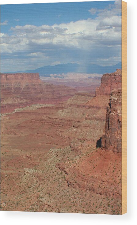 Canyonlands National Park Wood Print featuring the photograph Desert Rain by Jon Emery