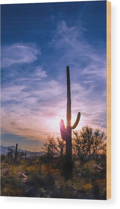 A Sunset Setting Over The Tucson Mountains Wood Print featuring the photograph Desert Sunset by Barbara Manis