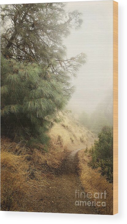 Fog Wood Print featuring the photograph There and Back Again by Ellen Cotton