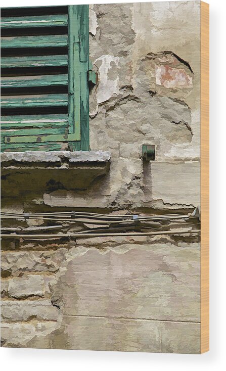 Abandon Wood Print featuring the photograph Dilapidated Green Wood Window Shutter II by David Letts