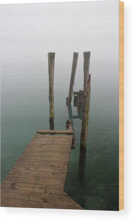 Dock Wood Print featuring the photograph Dock to Nowhere 10 by Mary Bedy