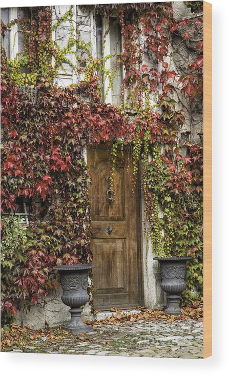 Timothy Hacker Wood Print featuring the photograph Door and Ivy by Timothy Hacker