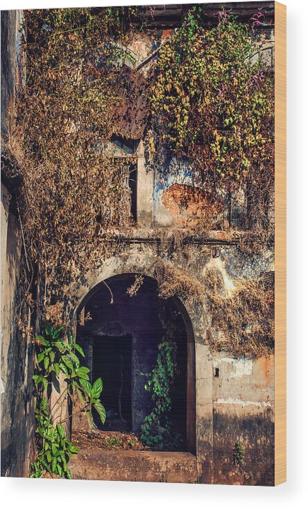 India Wood Print featuring the photograph Door at Old Portuguese House. Goa. India by Jenny Rainbow