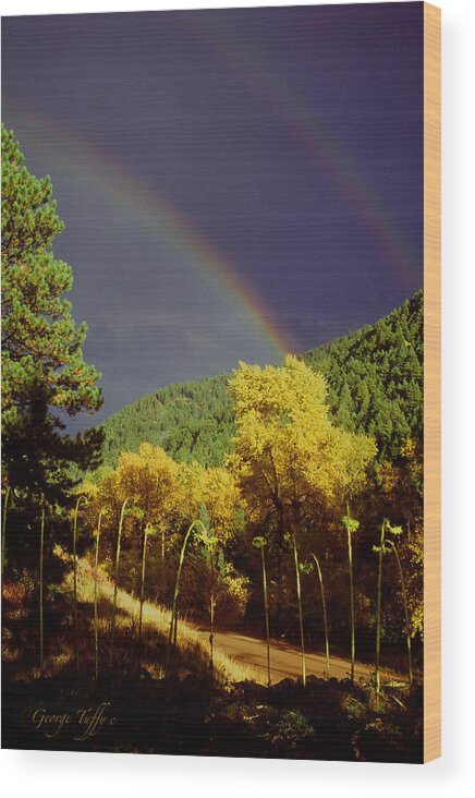 Rainbow Autumn Nature Golden Leaves Cottonwood Trees Nature Valley Colorado Rocky Mountains Wood Print featuring the photograph Double rainbow autumn by George Tuffy