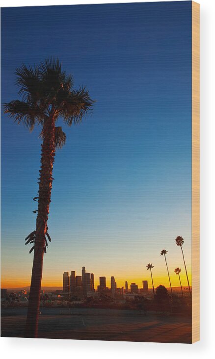 Palms Wood Print featuring the photograph Downtown by Darren Bradley
