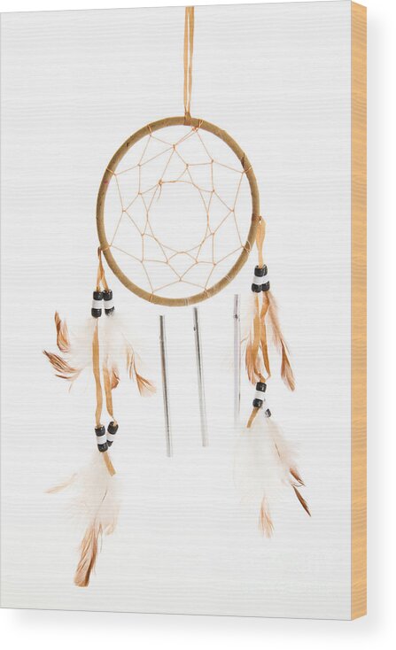 Still Life Wood Print featuring the photograph Dream Catcher by Photo Researchers