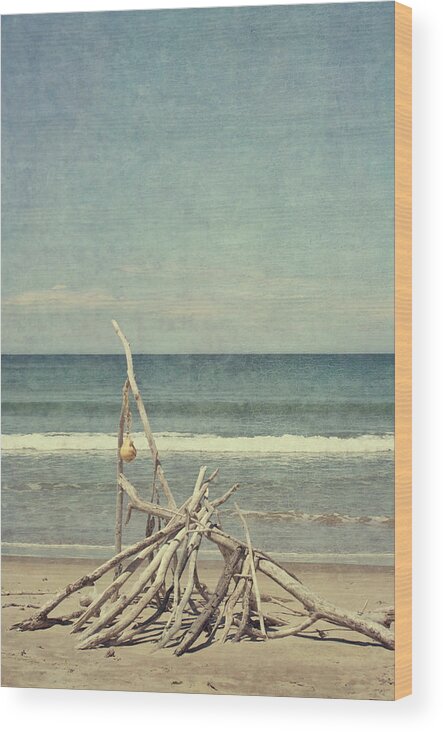 Water's Edge Wood Print featuring the photograph Driftwood by Jill Ferry