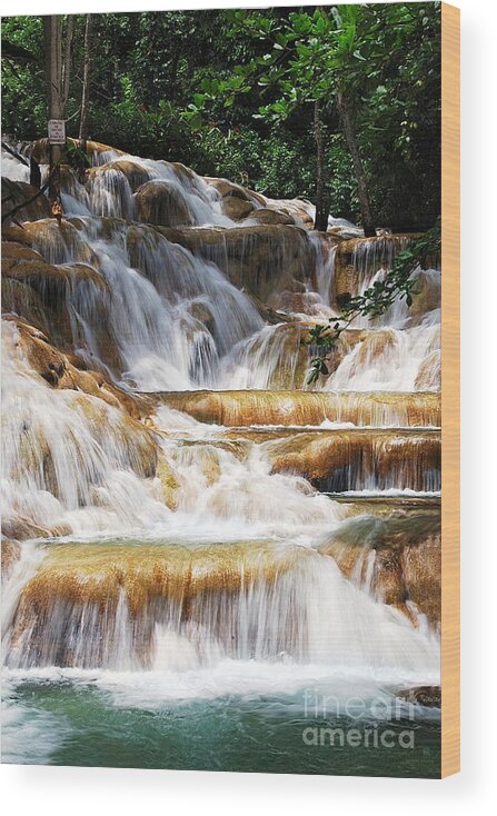Waterfall Wood Print featuring the photograph Dunn Falls by Hannes Cmarits