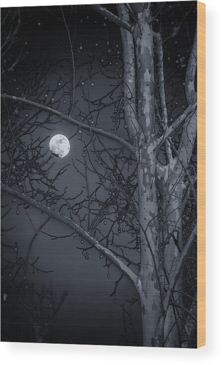 Early Wood Print featuring the photograph Early Moon in Black and White by Micah Goff
