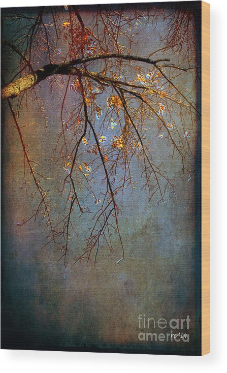 Autumn Wood Print featuring the photograph Early One Autumn Morn... by Rene Crystal