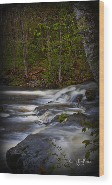 Water Wood Print featuring the photograph Edge Of The Stream by Greg DeBeck