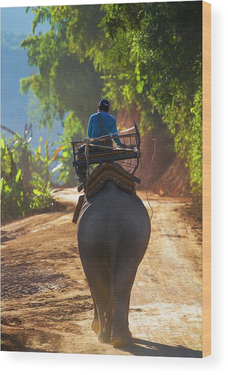 Working Animal Wood Print featuring the photograph Elephant Camp Of Ban Ruammit by Jean-claude Soboul