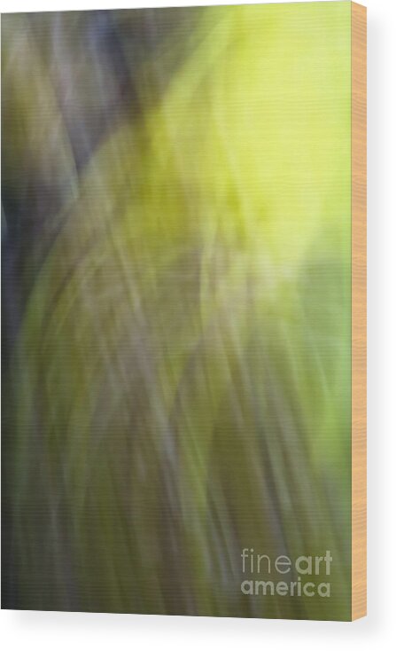 Speed Wood Print featuring the photograph Empedocles 2 by Joel Loftus