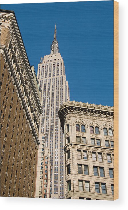 Empire State Building Wood Print featuring the photograph Empire State Building by Michael Dorn