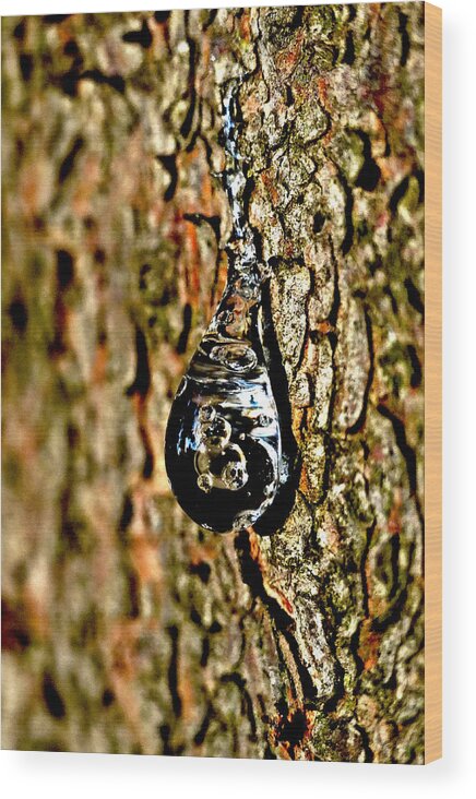 Bubbles Wood Print featuring the photograph Encased Bubbles by Nick Kloepping
