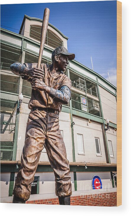 America Wood Print featuring the photograph Ernie Banks Statue at Wrigley Field by Paul Velgos